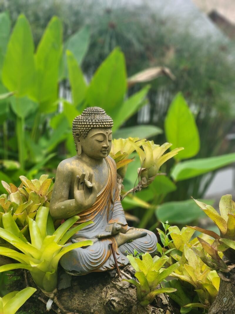 Buddha statue among greenery